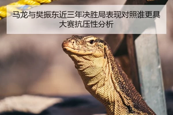 马龙与樊振东近三年决胜局表现对照谁更具大赛抗压性分析