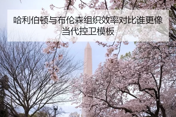 哈利伯顿与布伦森组织效率对比谁更像当代控卫模板