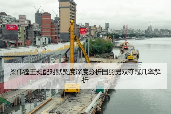 梁伟铿王昶配对默契度深度分析国羽男双夺冠几率解析
