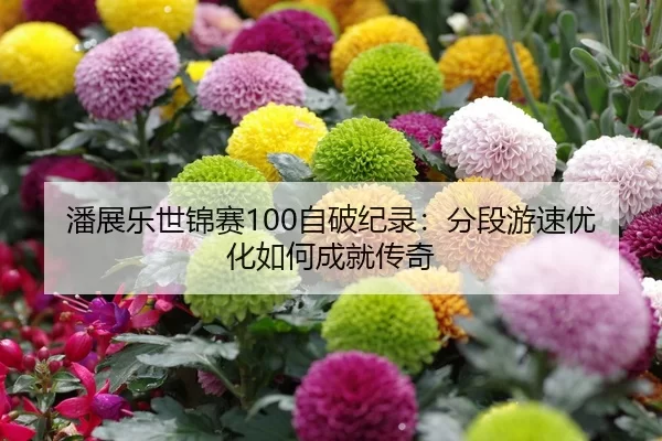 潘展乐世锦赛100自破纪录：分段游速优化如何成就传奇
