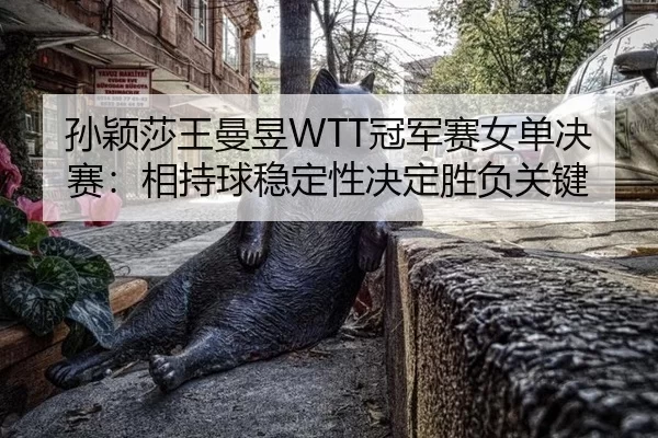 sun-ying-sha-wang-man-yu-guan-jun-sai-nv-dan-jue-sai-xiang-chi-qiu-wen-ding-xing-jue-ding-sheng-fu-guan-jian-2-348.jpg